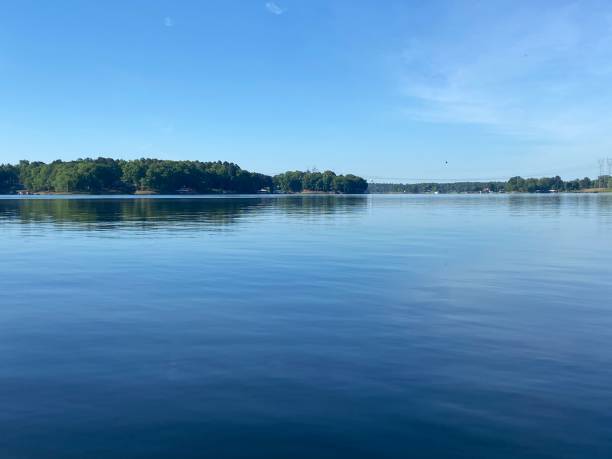 istock Lake view with shoreline and trees 1384984541