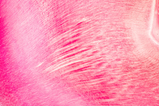 Toothpick Under Microscope Color Tooth Development From Human Under Microscope View For Education Stock ...