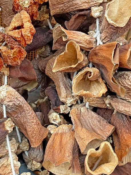 istock close up dried aubergines on string 1384987179