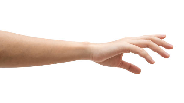 istock Woman hand reach and ready to help or receive. Gesture isolated on white background. 1384997912
