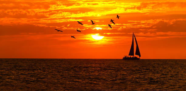 istock Sailboat Ocean Sailing Sunset Banner 1384999367