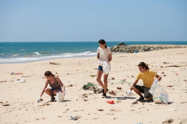 istock Group of Volunteers Cleaning Beach 1385009525