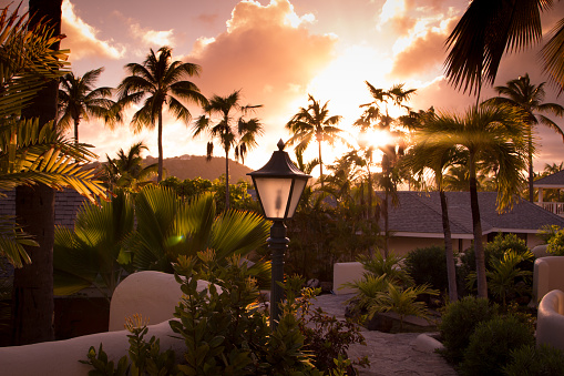 The sun sets through tall palm trees at a vacation resort in a tropical setting.