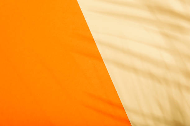 Orange and beige summer color background with tropical palm shadow.