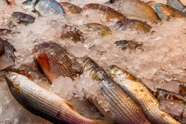 istock Different fresh raw fish at fish market 1385038926