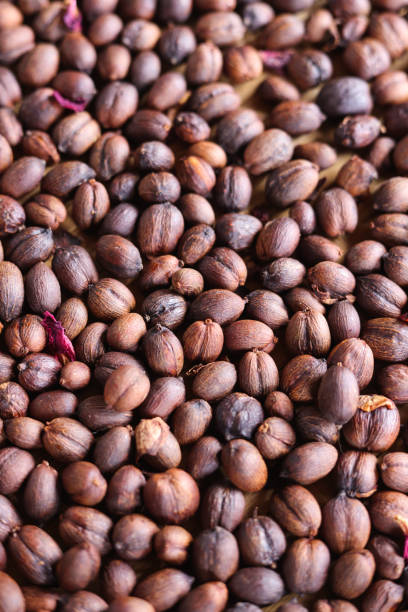 istock Coffee beans saturated color picture beautiful background 1385042146