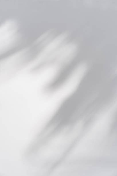 istock Shadow of palm leave on white background and textured 1385045177
