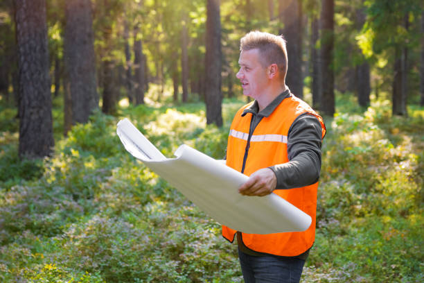 Forest engineer or surveyor holding maps and inspecting forest