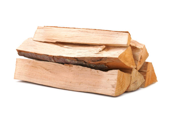 istock Pile of beech tree firewood isolated on white 1385049682