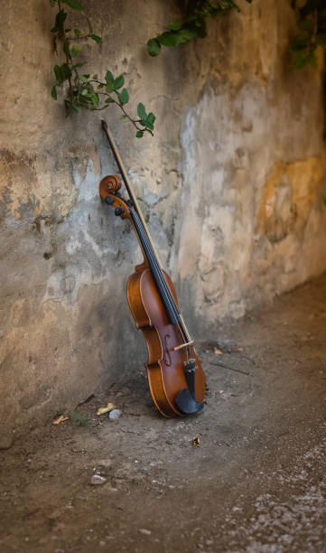 istock Violin put on background,acoustic instrument 1385056445