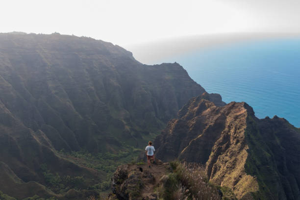 istock Young man hikes to viewpoint over the Pacific Ocean 1385056506