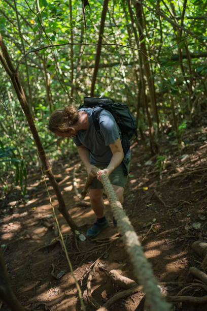 istock Hiker follows trail down through tropical rainforest 1385056805