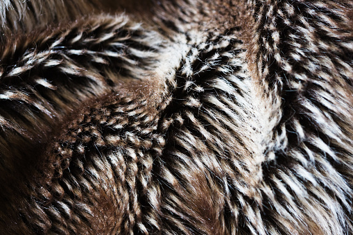 Close-up of the fibers of a fake fur throw.