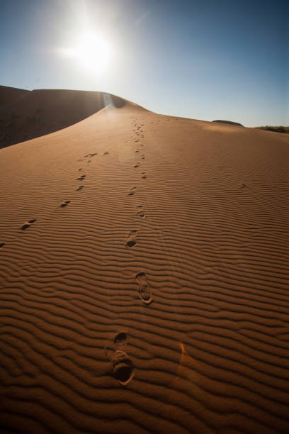 istock Footsteps on a sand dune at sunrise 1385062977