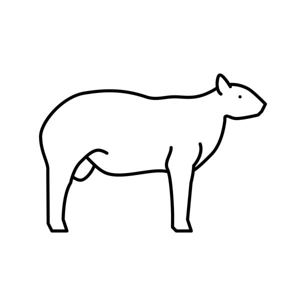 stockillustraties, clipart, cartoons en iconen met texel sheep line icon vector illustration - texel