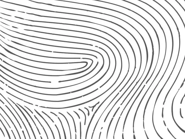 Vector illustration of Fingerprint pattern isolated on white background.