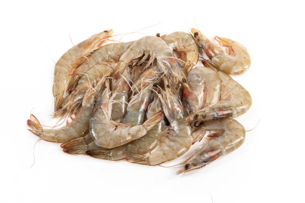 istock white shrimps or prawns isolated on white background 1385067217