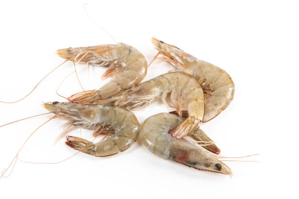 istock white shrimps or prawns isolated on white background 1385067238