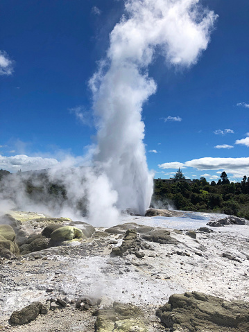 Rotorua thermal hot spring geyser erupting and thermal mud pools.