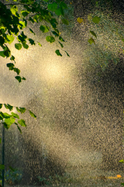 Gardening details - automatic lawn watering system with circular sprinklers. Water drops everywhere