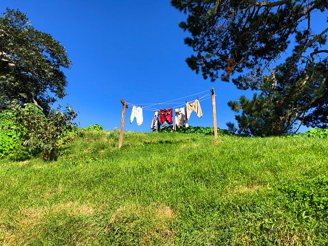 Grassy hill and clothes drying on a line in Hobbiton, Matamata.