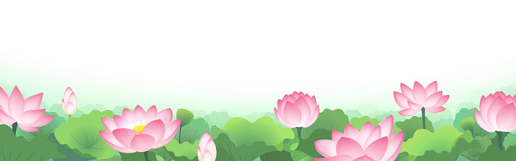 Tải về miễn phí 600 Background hoa sen vector Dành cho các nhà thiết kế  chuyên nghiệp