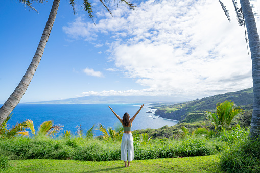 Beautiful lush greenery with palm trees. Colorful rainbow in the sky.