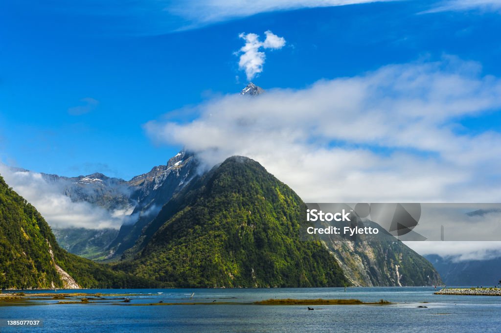 Thủy triều thấp ở Milford Sound ở New Zealand - Trả phí Bản quyền Một lần Vườn Quốc Gia Fiordland Bức ảnh sẵn có Thủy triều thấp ở Milford Sound ở New Zealand - Trả phí Bản quyền Một lần Vườn Quốc Gia Fiordland Bức ảnh sẵn có