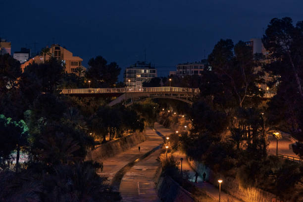 panorama del río vinalopo en la ciudad de elche por la noche - elche españa fotografías e imágenes de stock
