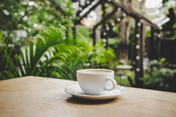 hot latte the best start to any morning - front view cup saucer white imagens e fotografias de stock