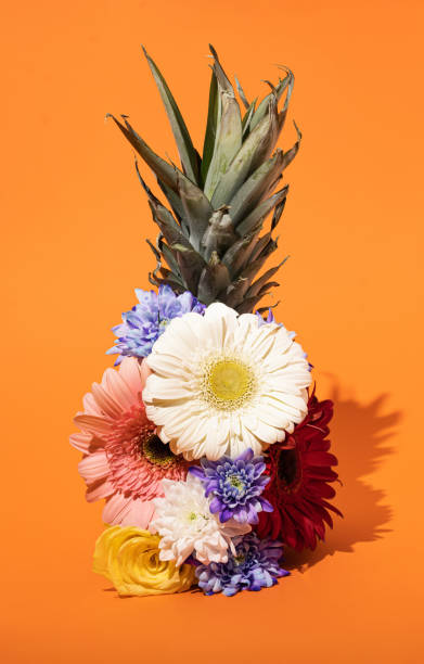 istock colorful blooming flowers on pineaple on bright orange background minimal creative compozition idea.