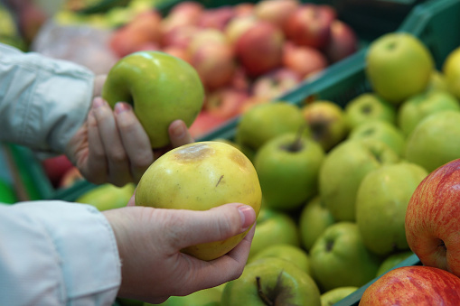 Female hands holding fresh apples, one crumpled and began to deteriorate, the other smooth and ripe, on the background of the shelves in the supermarket.