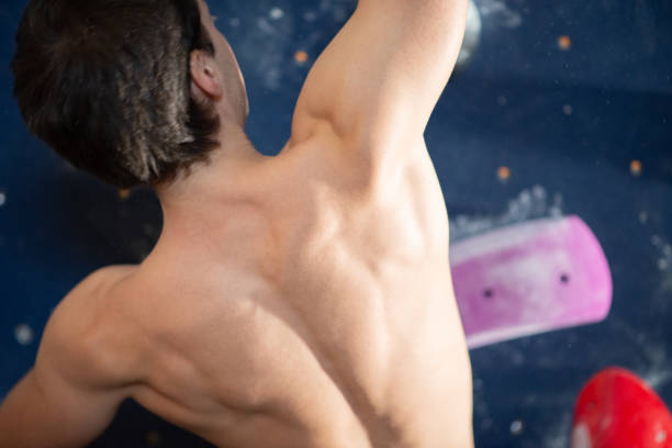 Close-up of sportive mans back. Sportsman with naked torso at bouldering wall. Sport, hobby, wellbeing concept