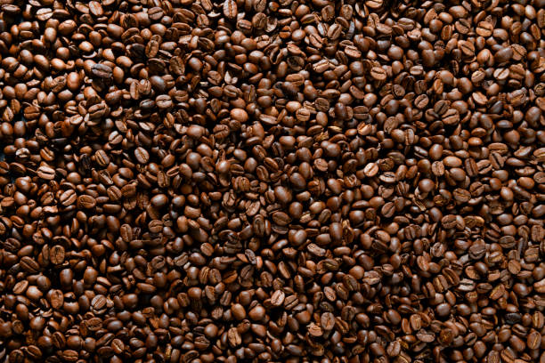 fondo de granos de café - selective focus coffee coffee crop cafe fotografías e imágenes de stock