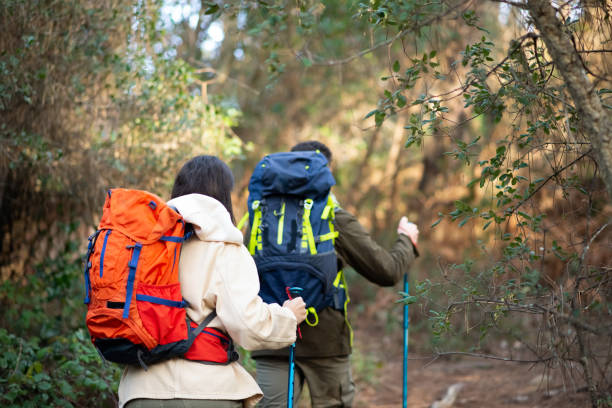 istock Back view of young hikers walking in forest 1385086217