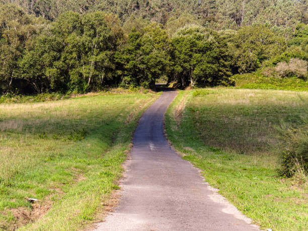 istock The lonely way in A Capela 1385086306