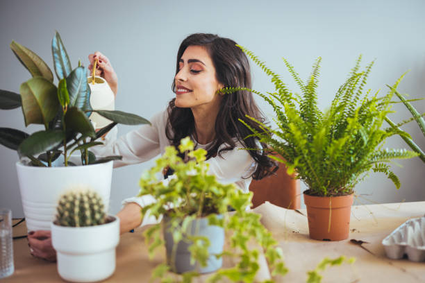 istock Woman caring for house plant 1385087344