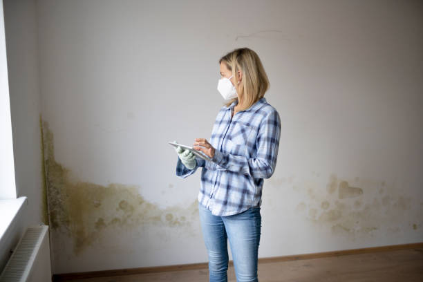 タブレットで型のある壁の前に立っているかわいい若い女性 - mold damaged toxic mold mildew ストックフォトと画像