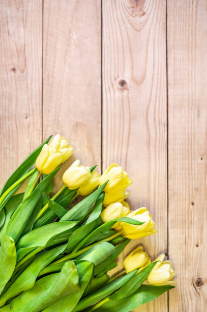 bouquet of yellow tulips on a wooden background