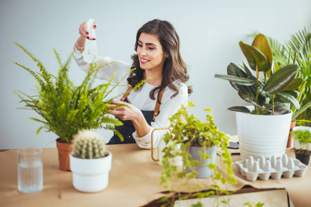 istock Planting home plants indoors 1385092200