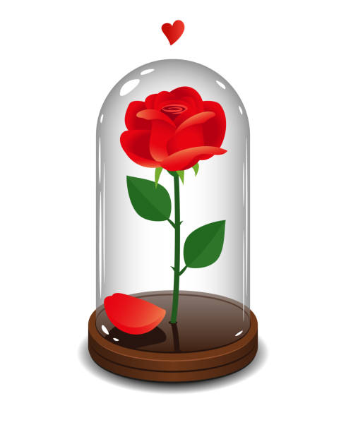 illustrations, cliparts, dessins animés et icônes de rose rouge dans un tube de verre - preserves jar empty red