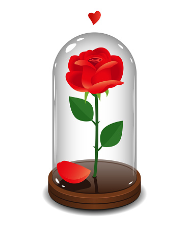 Preserved red rose in a glass tube isolated on a white background.