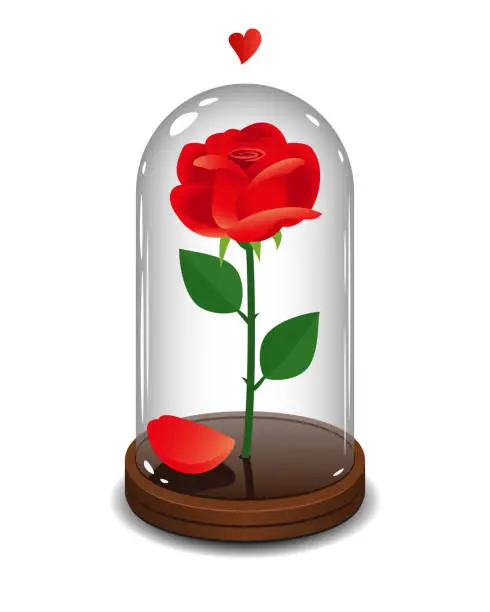 Vector illustration of Red rose in a glass tube