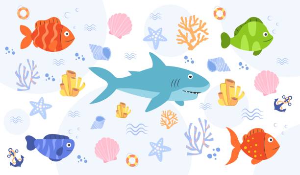 바다 생물의 집합 - vector reef coral shark stock illustrations