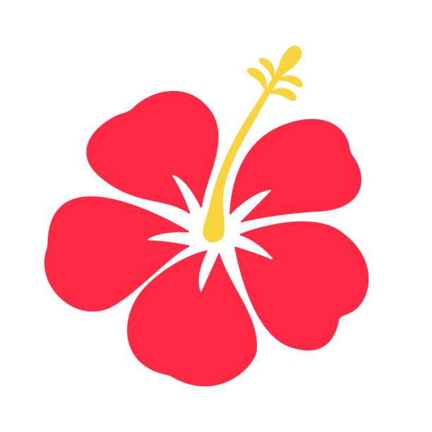 Island Vibes Vector Art Icons And Graphics For Free Download Island Vibes Vector Art Icons And Graphics For Free Download