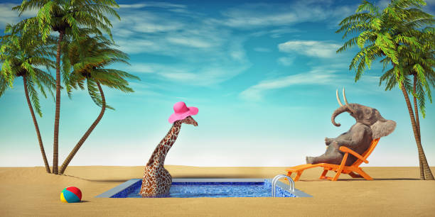istock Giraffe and an elephant relaxing at a tropical pool. 1385099764