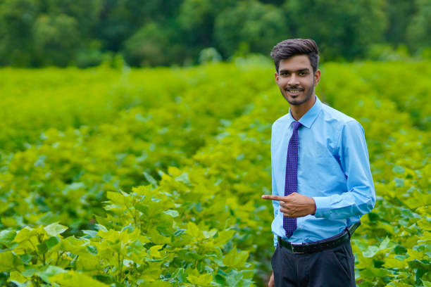 young indian agronomist standing at agriculture field. - thumps up imagens e fotografias de stock