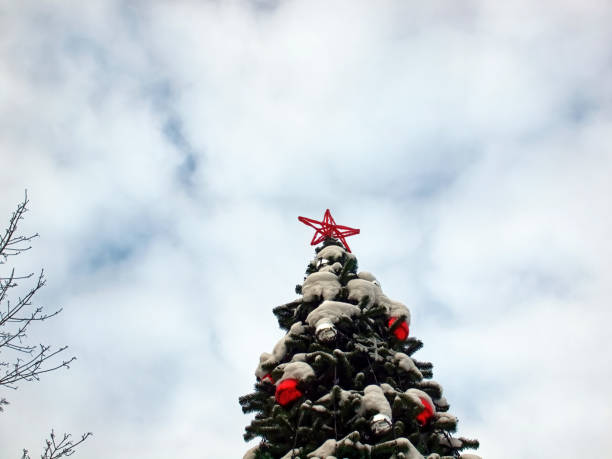 istock Christmas tree in the park against the sky 1385103802