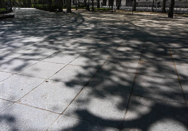 A sunny morning on a exclusive american suburban sidewalk