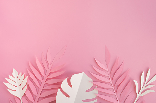 Tropical leaves on pastel pink background.